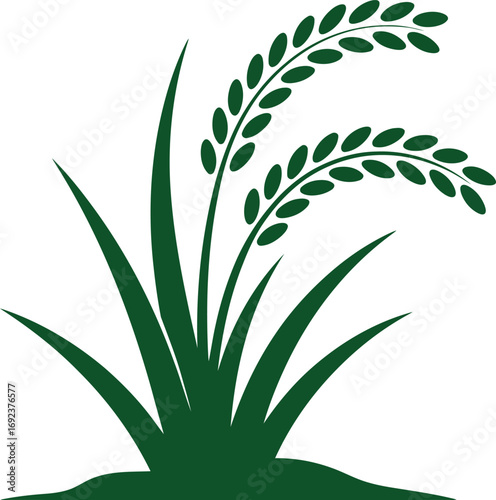 Elegant green rice plant illustration symbolizes growth, harvest, and natural abundance for your brand