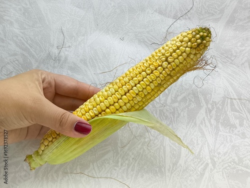 A woman takes an ear of corn from a pile and peels the corn from green leaves and husks.
