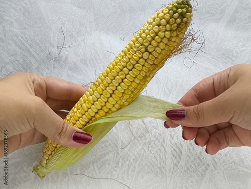 A woman takes an ear of corn from a pile and peels the corn from green leaves and husks.
