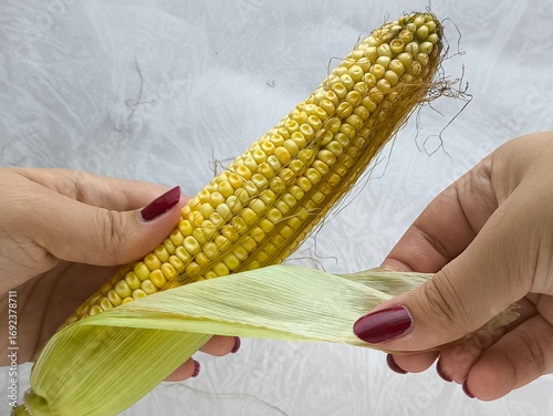 A woman takes an ear of corn from a pile and peels the corn from green leaves and husks.