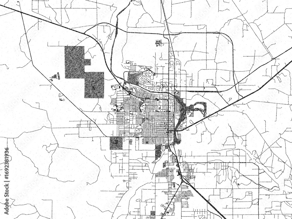 Obraz premium Monochrome map illustration of Carlsbad New, Mexico, with hand-drawn style textures highlighting its streets and rivers.