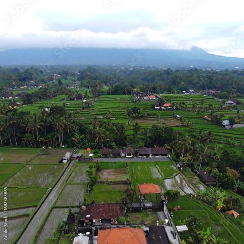 Panoramic view of lush terraced rice paddies with village nestled in valley