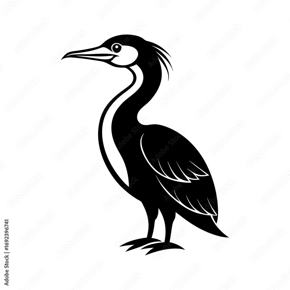 Fototapeta premium Double Crested Cormorant Bird Outline on White Background