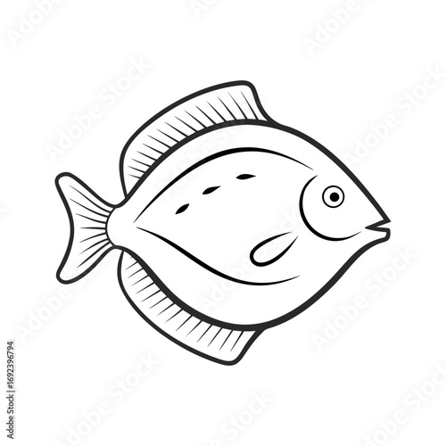 Flounder Fish Outline Illustration on White Background