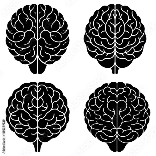 Four black and white brain illustrations showing different perspectives and internal structures of the organ