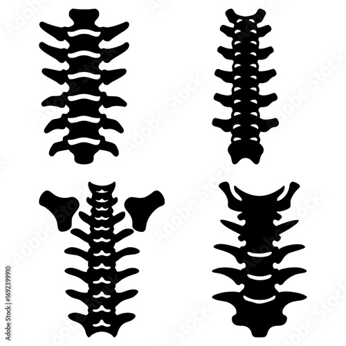 Illustration showing four different views of spine anatomy in black and white detailed vector art