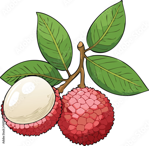 Lychee Fruit with Cutaway