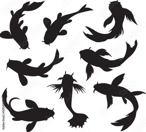 Minimalist Koi Fish Silhouette Set - 8 Elegant Poses on Pure White Background