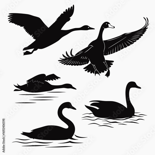 A collection of black silhouettes of swans and geese in various poses including flying and swimming on a white background