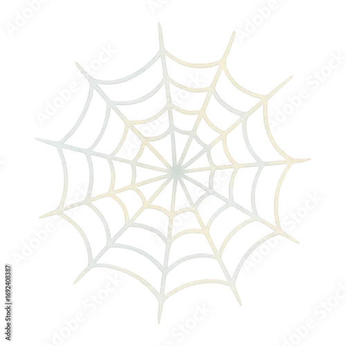 Obraz PNG Intricate spider web illustration design.