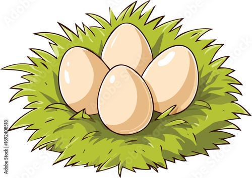 Bird's nest with eggs