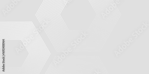 Hexagon white gray wave light technology texture background. Abstract big data digital concept simple art modern abstract