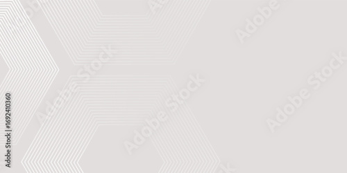 Hexagon white gray wave light technology texture background. Abstract big data digital concept simple art modern abstract