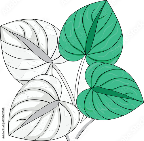 3d houseplant concept illustration eps