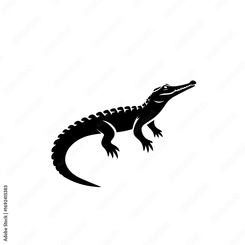 Fototapeta premium Crocodile Vector Illustration – Ferocious Swamp Reptile Artwork
