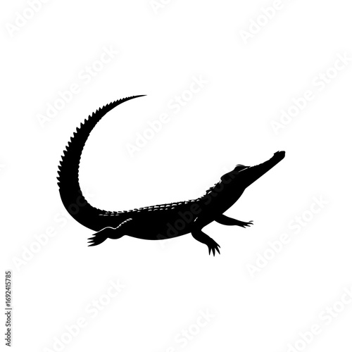 Crocodile Vector Illustration – Aggressive Swamp Predator Artwork