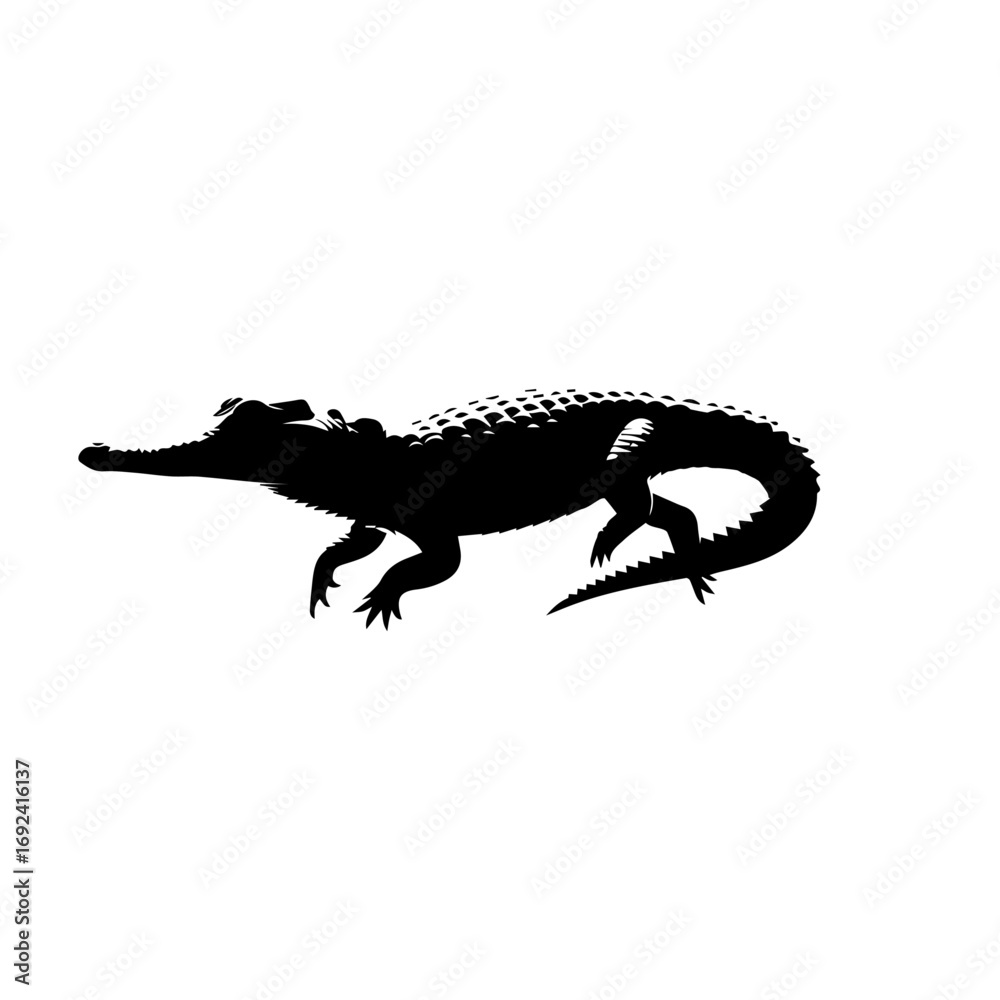 Fototapeta premium Crocodile Vector Illustration – Wild Jungle Predator Artwork