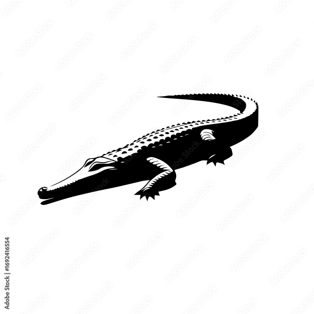 Naklejka premium Crocodile Vector Illustration – Aggressive Wildlife River Reptile