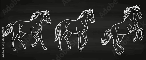 Pferd Lineart Vektorgrafik Kreidetafel Collage Tiere Handzeichnung Illustration elegant