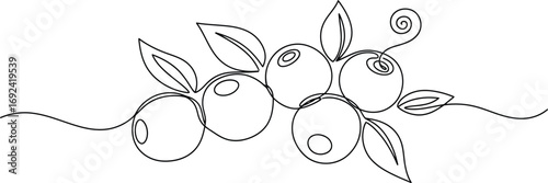 Minimalist single line drawing of a cluster of blueberries with leaves