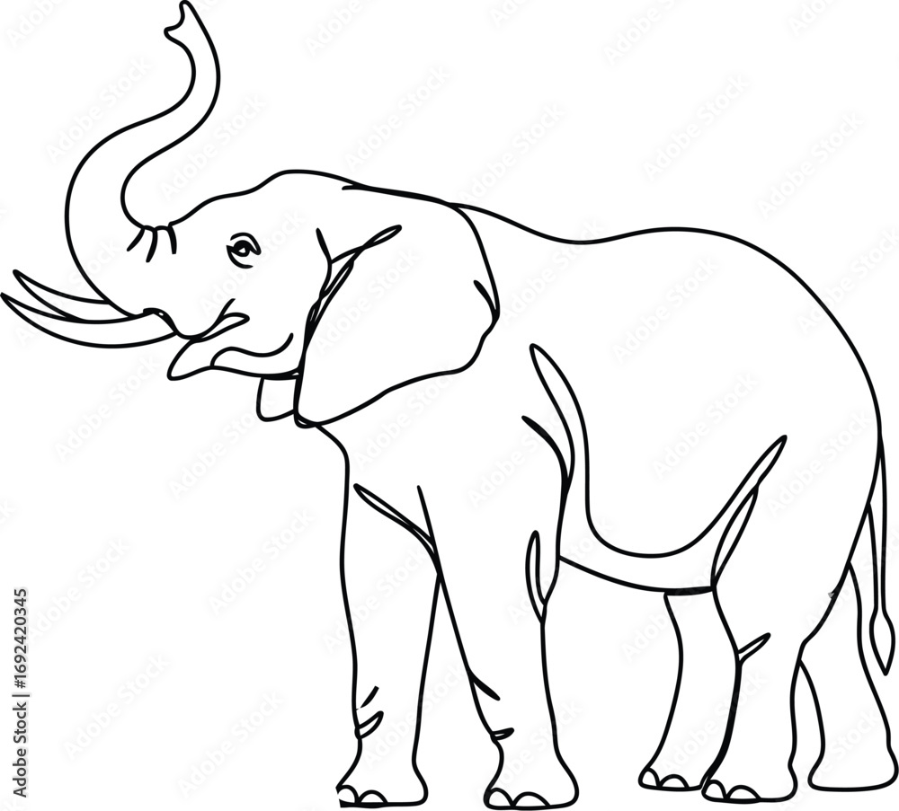 Fototapeta premium Majestic elephant with raised trunk, a simple outline illustration