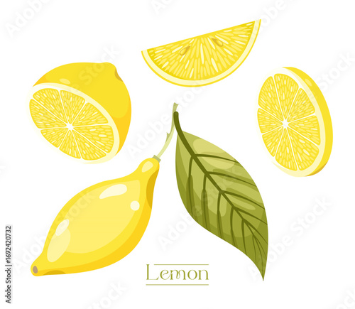 Lemon fruit set 