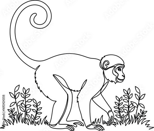 Playful monkey with long tail exploring grassy jungle floor