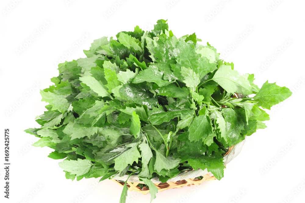 Obraz premium Fresh Wild Ashwagandha Shoots and Greens in Basket from Gansu Province China