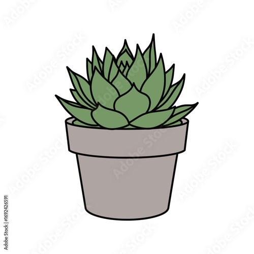 Green succulent plant in a gray pot illustration.