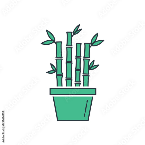 Potted bamboo stalks with green leaves in a teal planter.