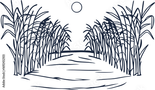 Sugarcane field landscape hand drawn rural plantation, harvesting scene with sun and tall stalks, agricultural concept