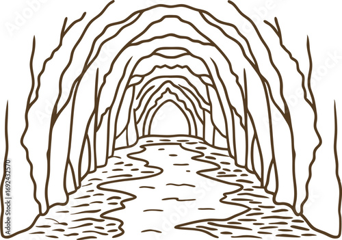 Leafless tree tunnel with winding path bare branches arching overhead, natural corridor, serene landscape