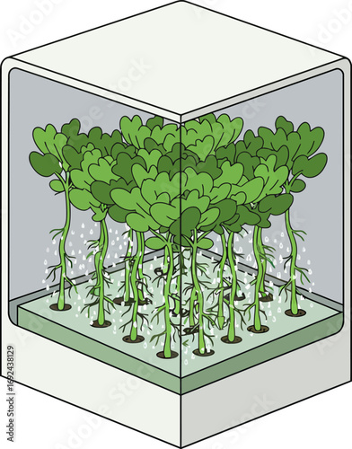A transparent, cube-shaped hydroponic system, showcasing plants with visible roots, growing in a controlled environment.