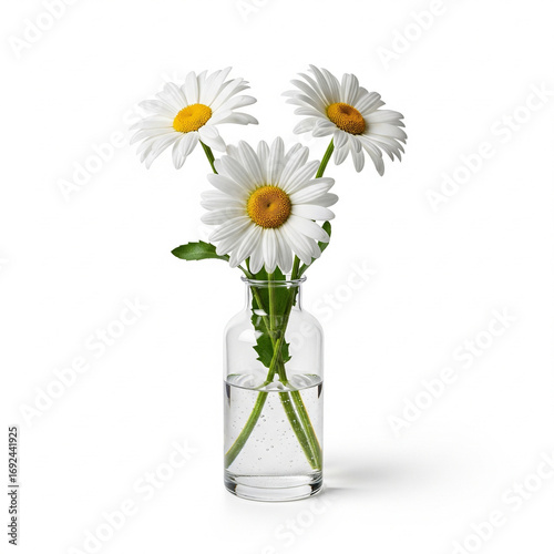 bouquet of daisies in glass vase