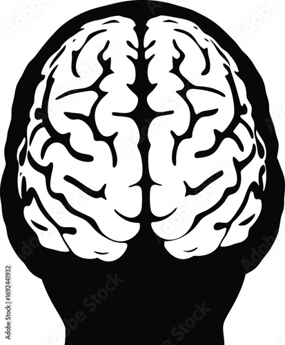 Brain silhouette frontal 3D view with realistic texture and soft lighting, high detail vector and raster ready artwork for medical, scientific and AI visualizations