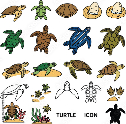 Assorted Cartoon Turtle Vector Graphics Collection
