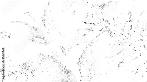Distressed paint wall texture with grunge cracks dust and scratch overlay. Grunge urban concrete cement texture with white gray black distressed background. 
