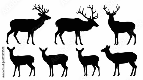 Silhouette illustration of seven deer in various poses with antlers on a white background