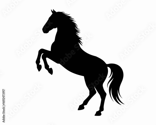 Silhouette of a rearing horse with flowing mane and tail standing against a white background image view