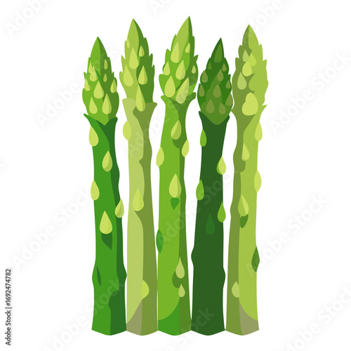 asparagus isolated on white