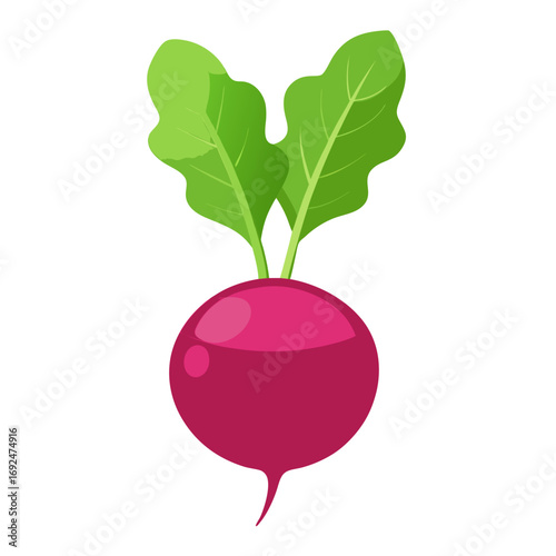 red  Beets with leaf