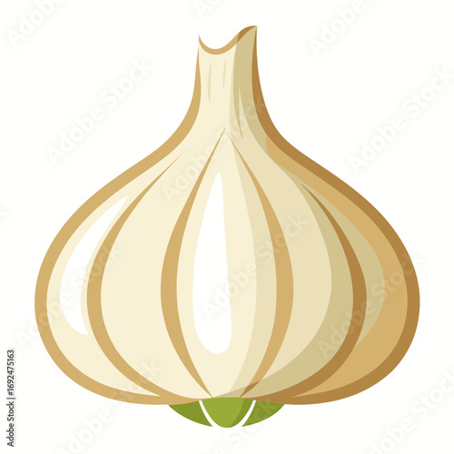 garlic isolated on white background