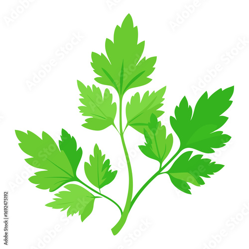 green leaf isolated on white background