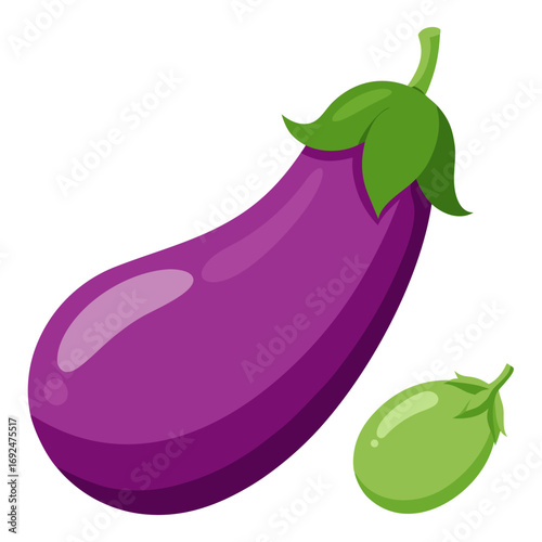 vector illustration of a eggplant