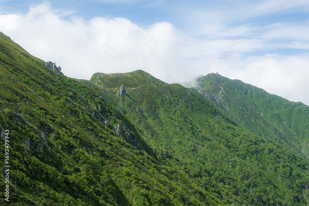 Obraz premium 日本の自然