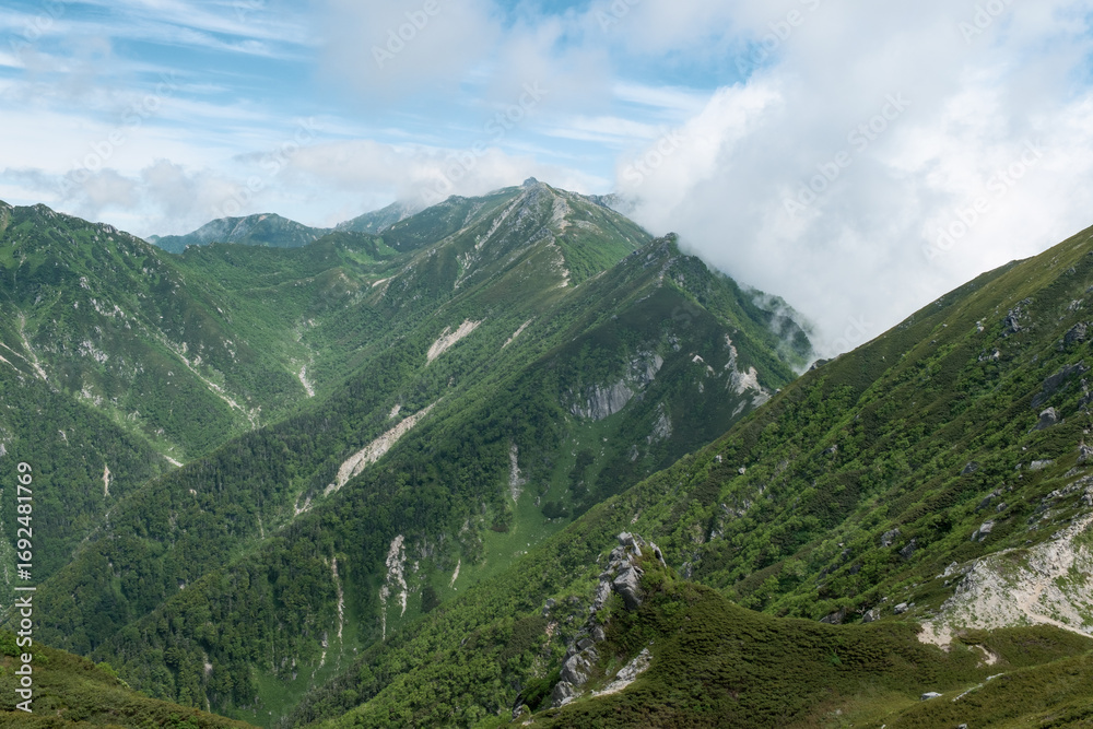 Naklejka premium 日本の自然