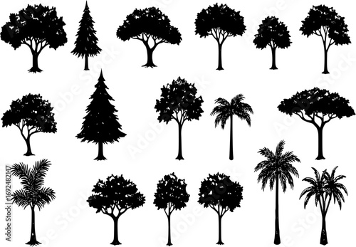 Large vector set of icons of deciduous coniferous trees palms and dracaena hand-drawn in a flat style and isolated on a white background for the design and decor of maps and park and urban info