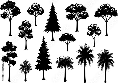 Large vector set of icons of deciduous coniferous trees palms and dracaena hand-drawn in a flat style and isolated on a white background for the design and decor of maps and park and urban info