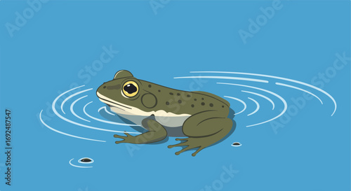 Frog in pond