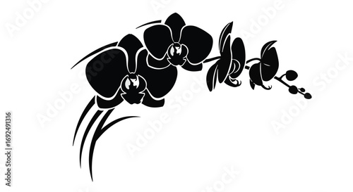 Elegant black orchid silhouette on a clean white background, symbolizing grace and sophistication.